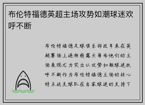 布伦特福德英超主场攻势如潮球迷欢呼不断