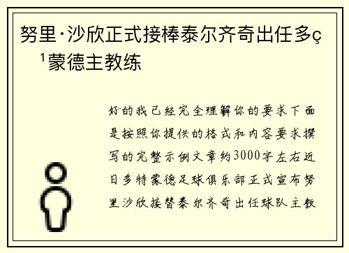 努里·沙欣正式接棒泰尔齐奇出任多特蒙德主教练
